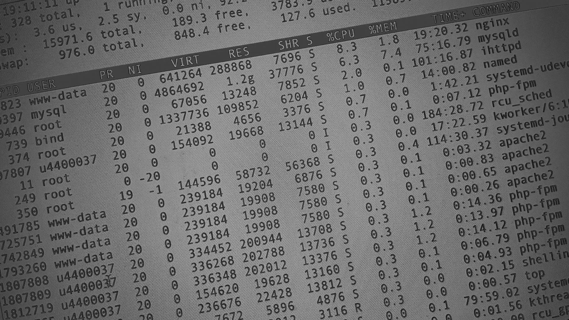 Настройка сервера в Шуе